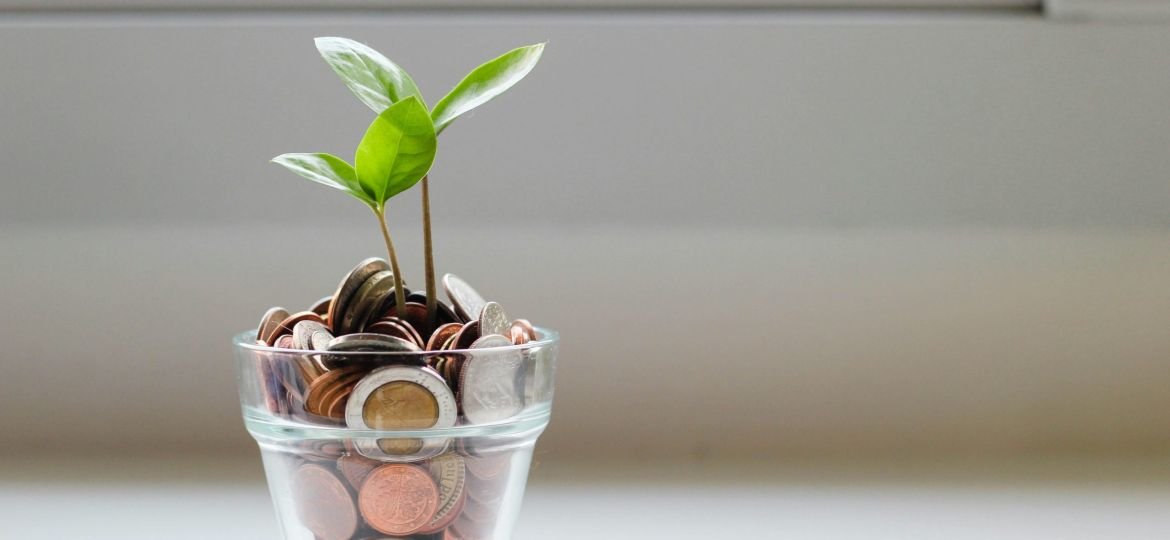 green plant in clear glass cup