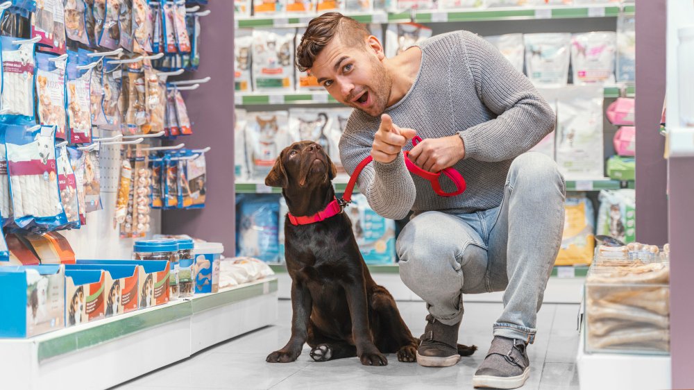 Pet Business Ideas - Startup Ideas for Animal Lovers